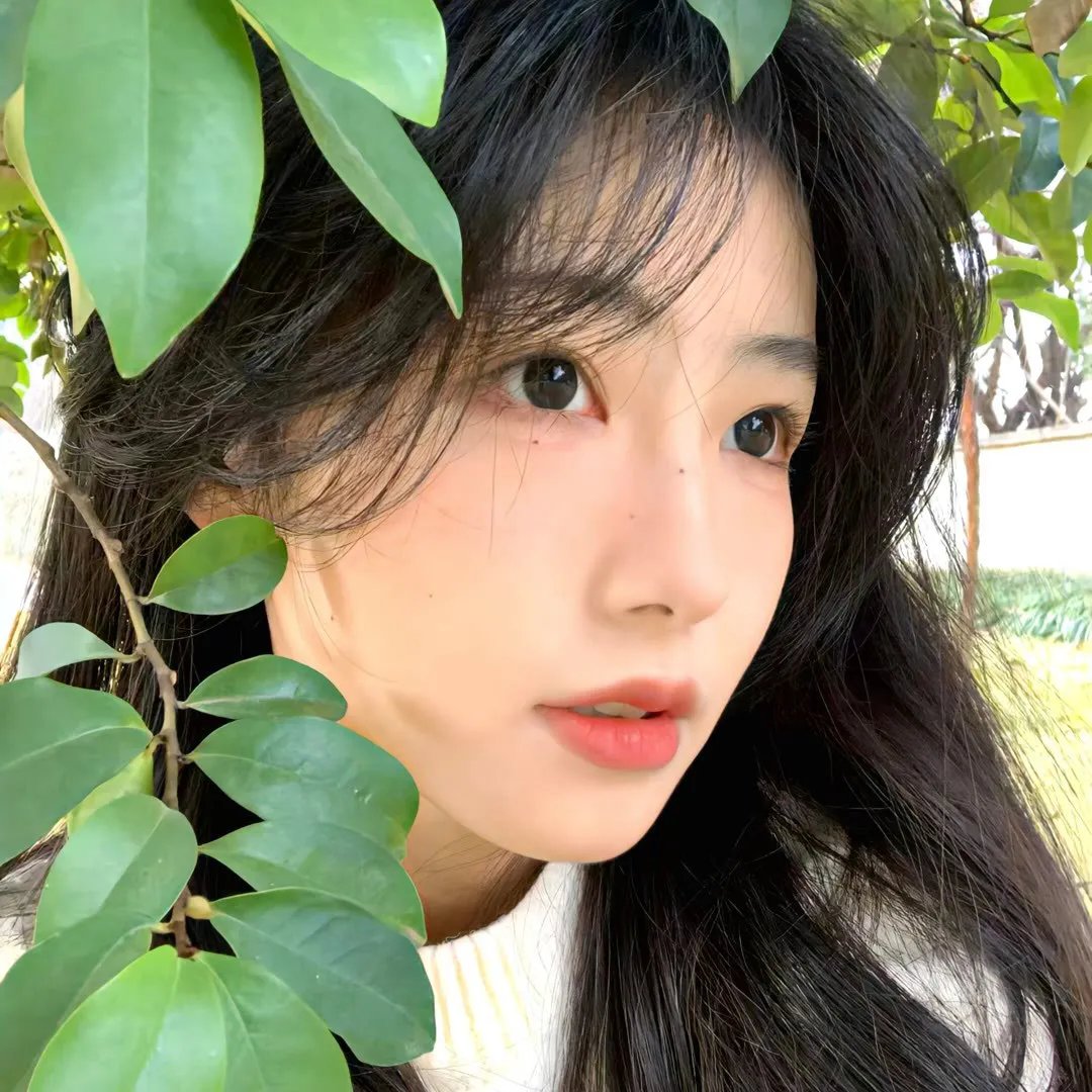 缅因姐妹